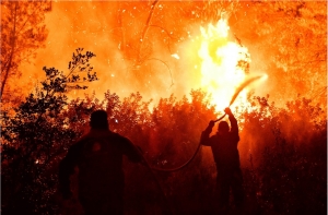 Συνέντευξη Τύπου από τον Υπουργό Προστασίας του Πολίτη για την Επιχείρηση "Δρυάδες"
